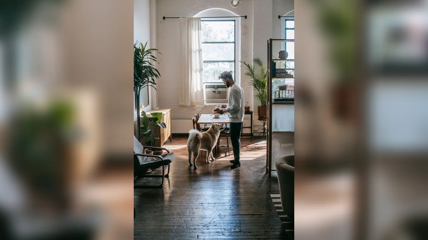 Akita dog and owner in a bright home